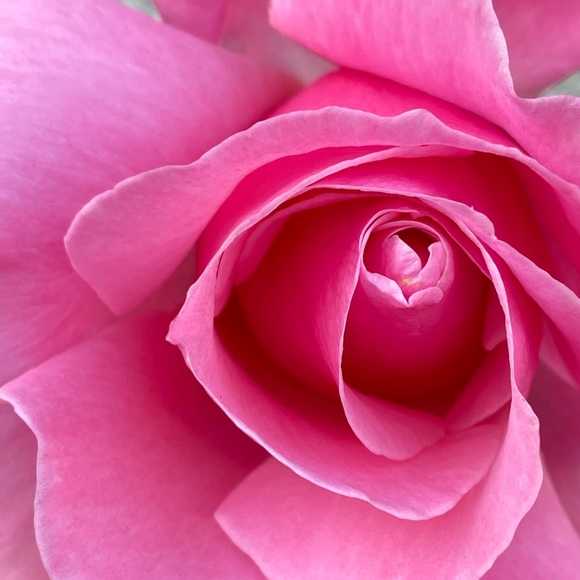 Meet your Posher, Michelle - Picture 1 of 1